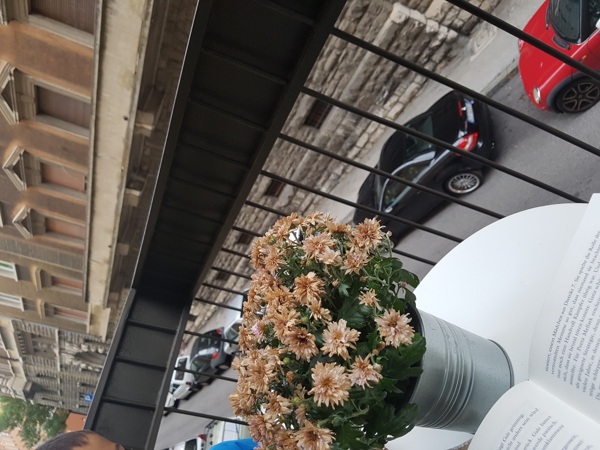 Flowers and an open book on a balcony above a Trieste street