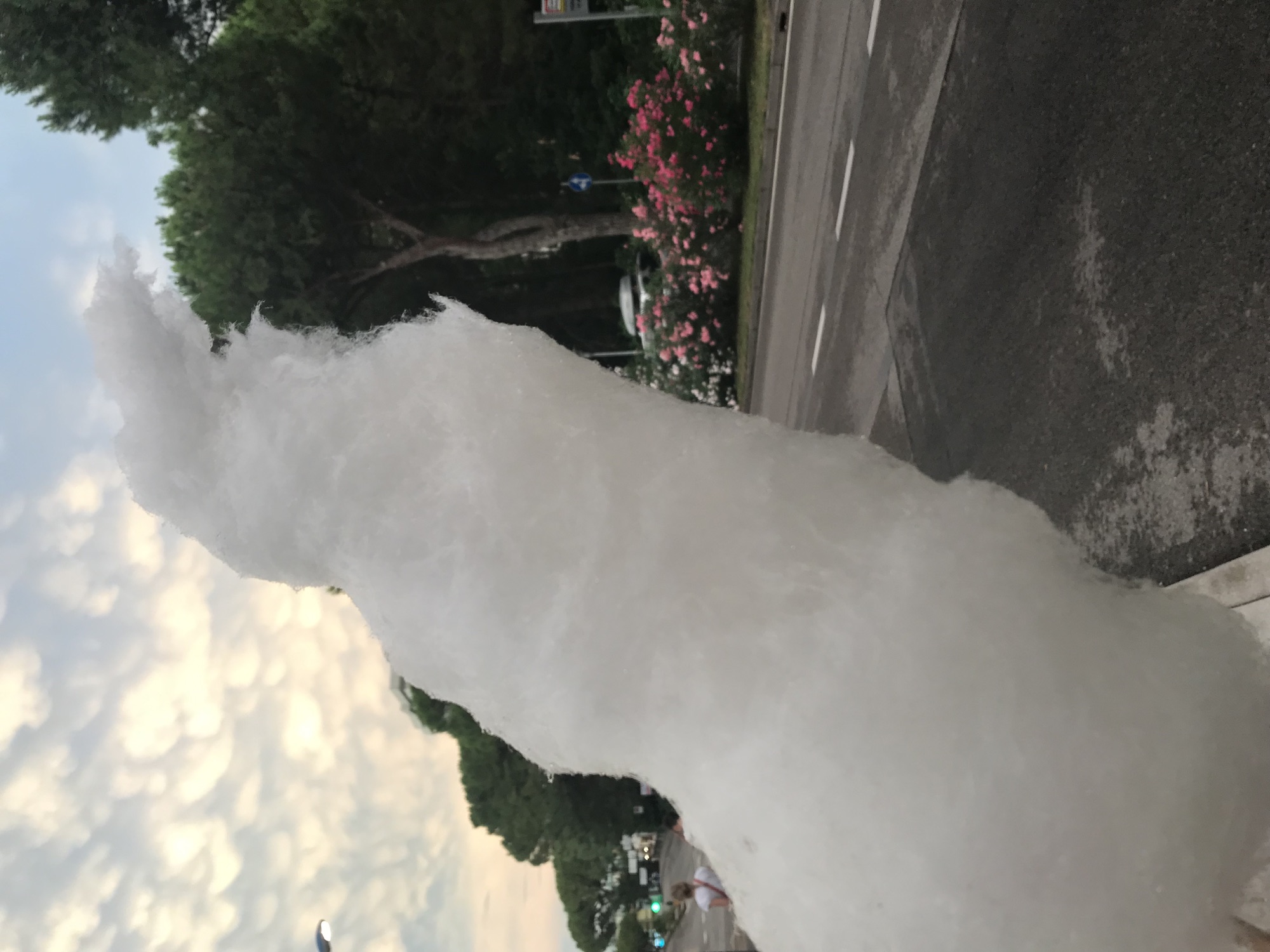 A cloud of cotton candy beside a tree-lined road