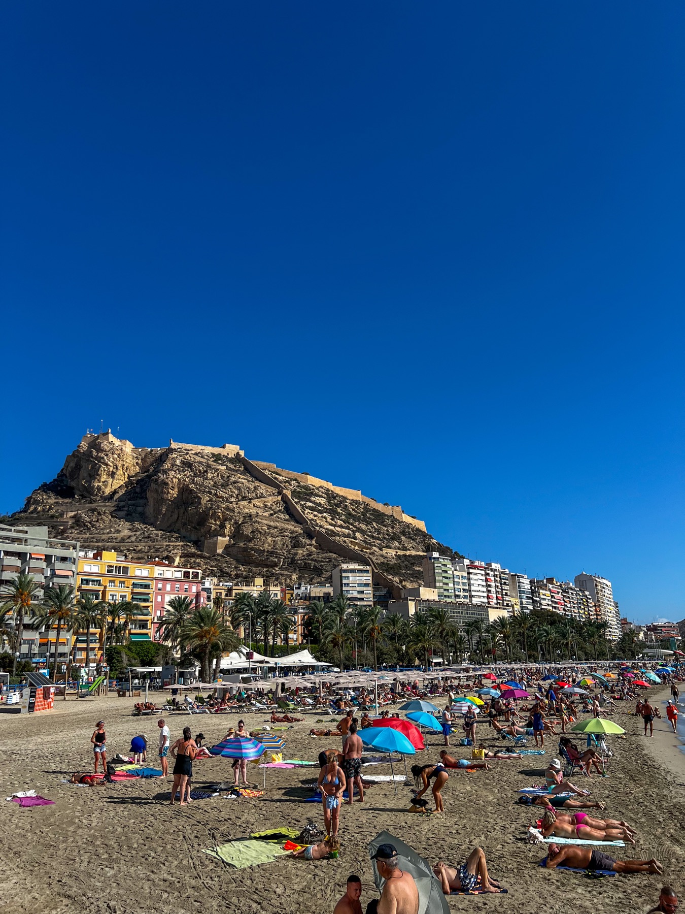 Alicante coastline seen from the castle hill