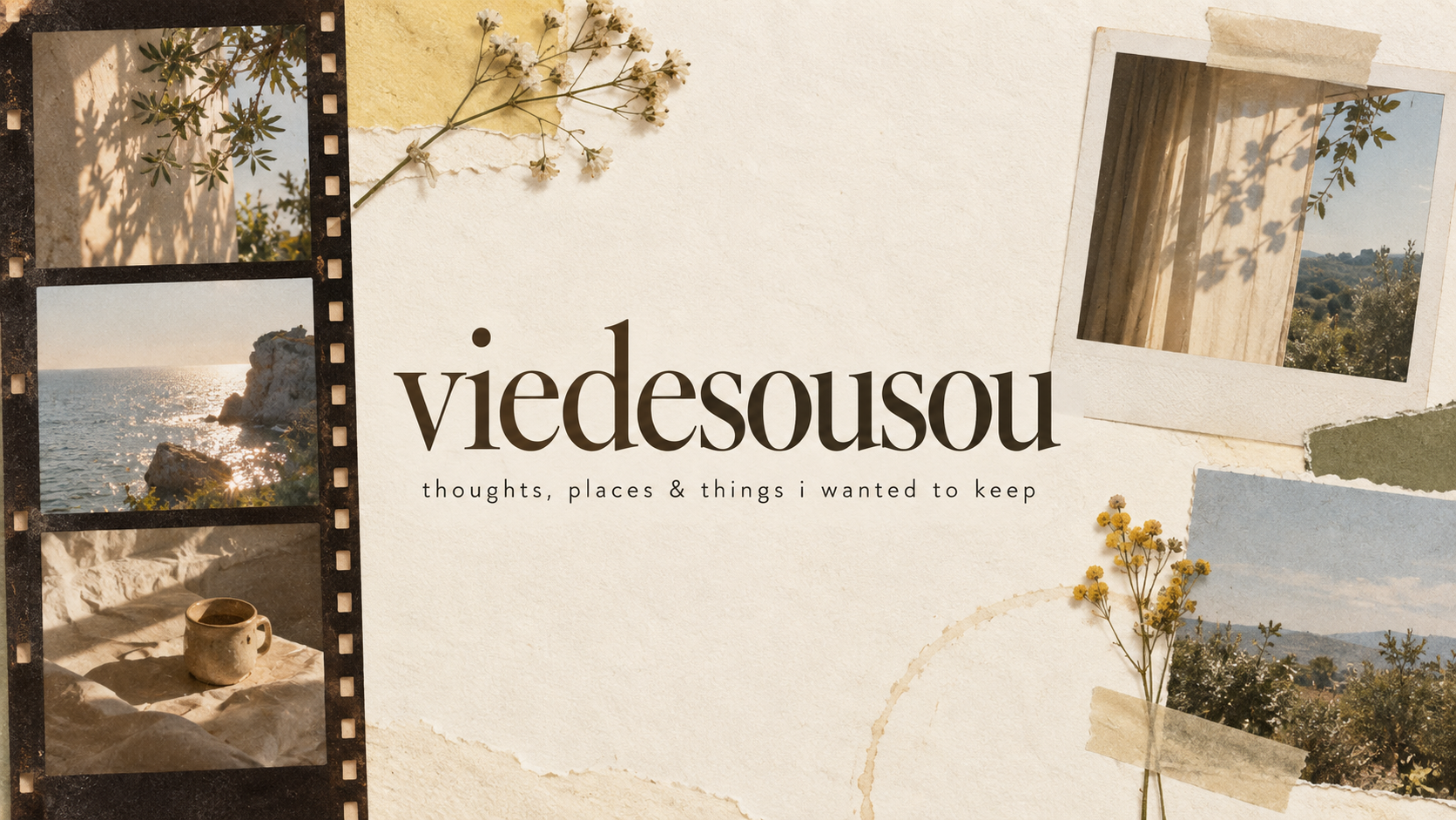viedesousou issue cover